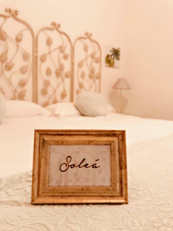 Casa Buleria Hotell Jerez de la Frontera Eksteriør bilde